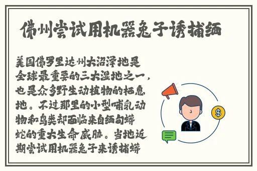 羞羞漫画免费网站入口